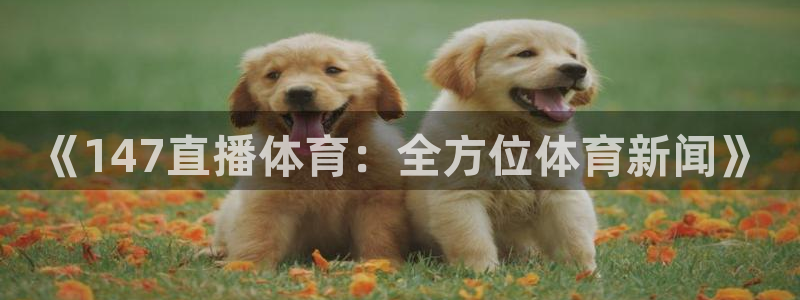 jrs柠檬体育：《147直播体育：全方位体育新闻》