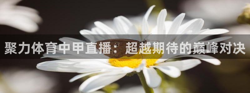 柠檬体育在线直播：聚力体育中甲直播：超越期待的巅峰对决