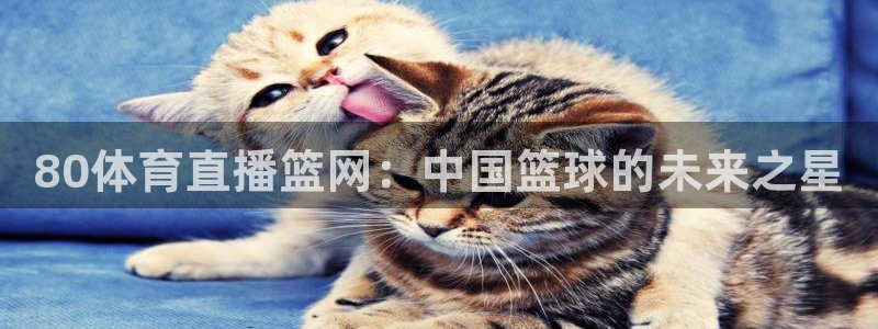 柠檬jrs直播：80体育直播篮网：中国篮球的未来之星