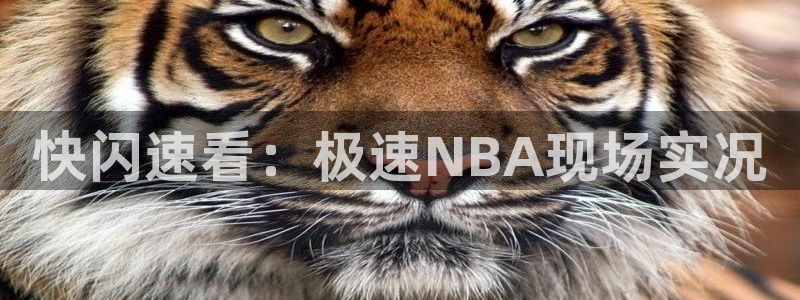 柠檬体育免费高清直播：快闪速看：极速NBA现场实况