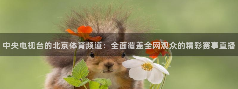 柠檬直播\'：中央电视台的北京体育频道：全面覆盖全网观众的精彩赛事直播