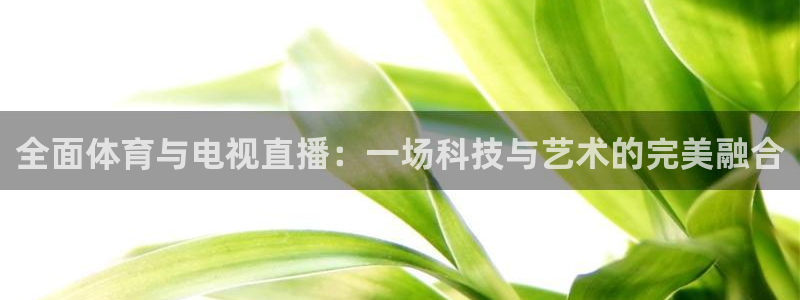 柠檬直播在线直播nba：全面体育与电视直播：一场科技与艺术的完美融合