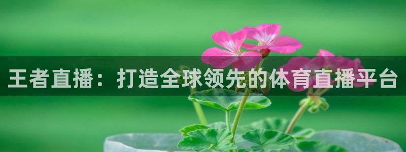 柠檬体育免费高清直播：王者直播：打造全球领先的体育直播平台