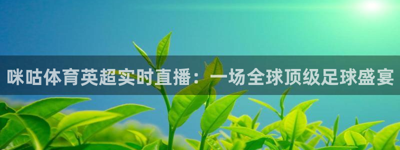 柠檬直播足球赛事：咪咕体育英超实时直播：一场全球顶级足球盛宴