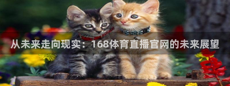 柠檬足球免费直播