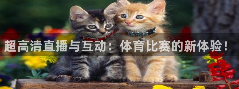 nba直播柠檬体育