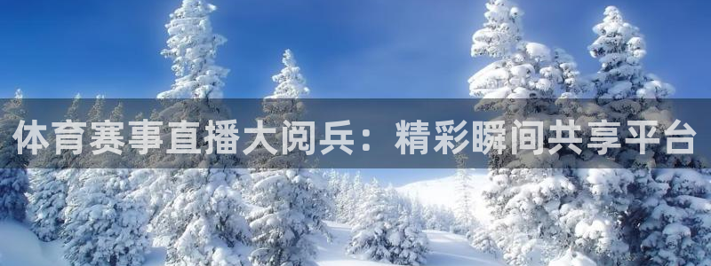 nba直播柠檬：体育赛事直播大阅兵：精彩瞬间共享平台