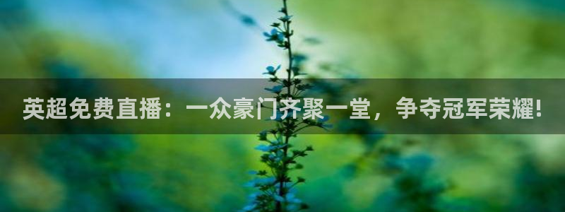柠檬体育足球直播：英超免费直播：一众豪门齐聚一堂，争夺冠军荣耀!